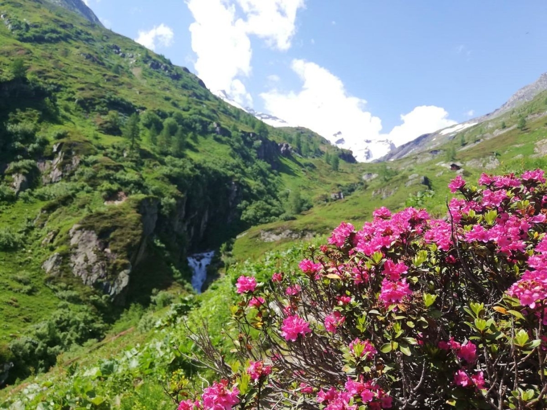 01 Aufstiegsweg zur Hütte 01 Aufstiegsweg zur Hütte