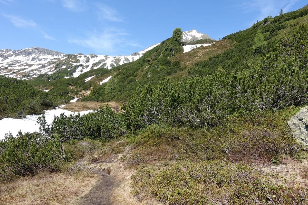 Großer Knallstein Großer Knallstein