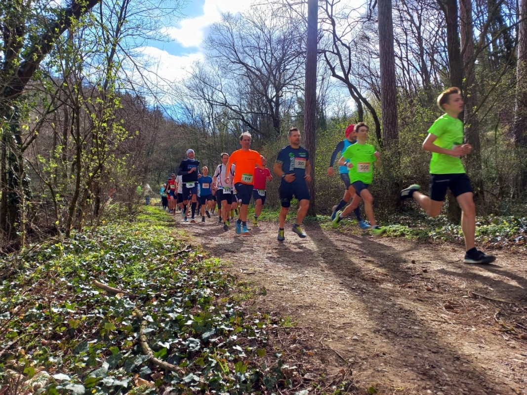Wolkersdorfer Crosslauf 2023, Foto: © Veranstalter Wolkersdorfer Crosslauf 2023, Foto: © Veranstalter