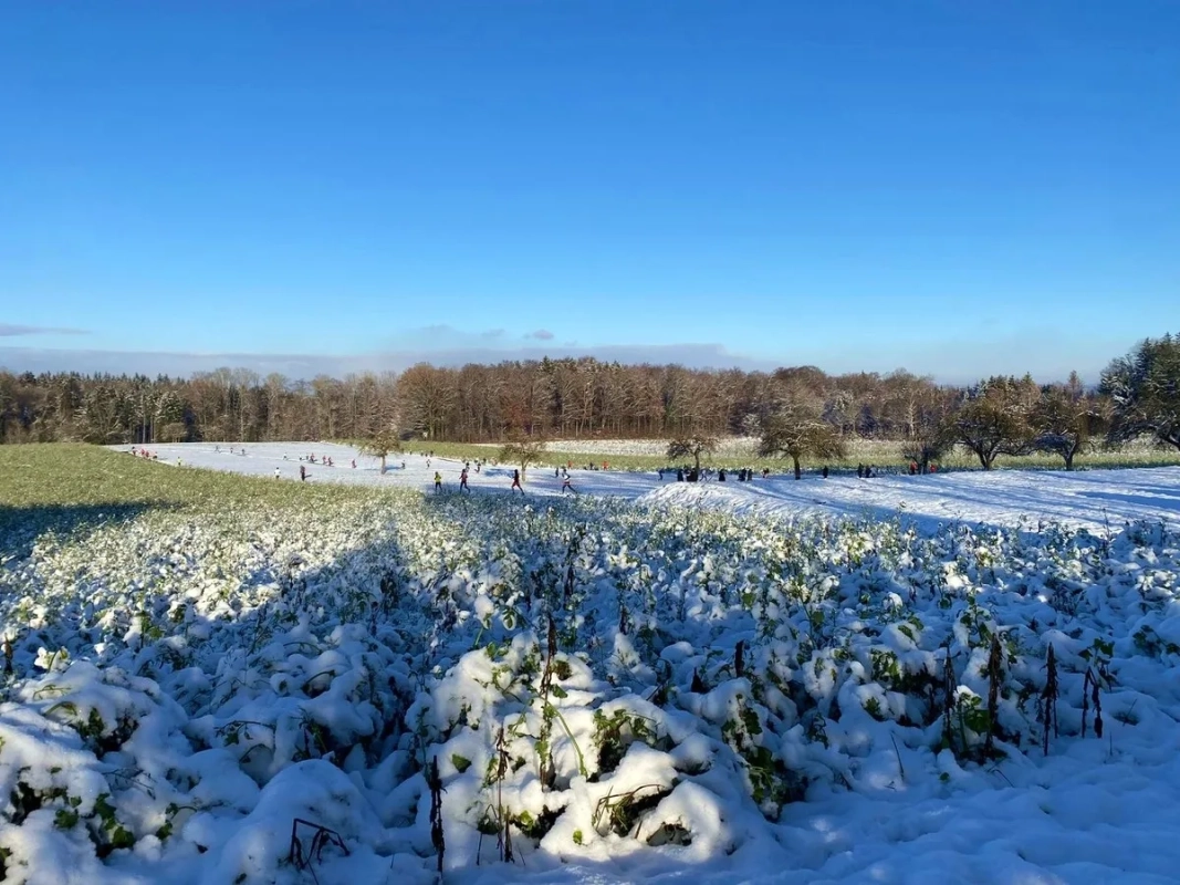 Crosslauf Blitzenreute-Fronreute 2022 (Foto: © Veranstalter) Crosslauf Blitzenreute-Fronreute 2022 (Foto: © Veranstalter)