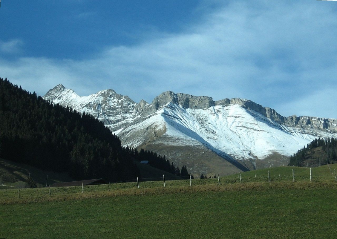 Vanil Noir Vanil Noir