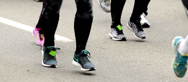 Werbeprofi Schlossparklauf Werbeprofi Schlossparklauf