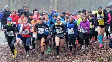 Bergedorfer Crosslauf Bergedorfer Crosslauf