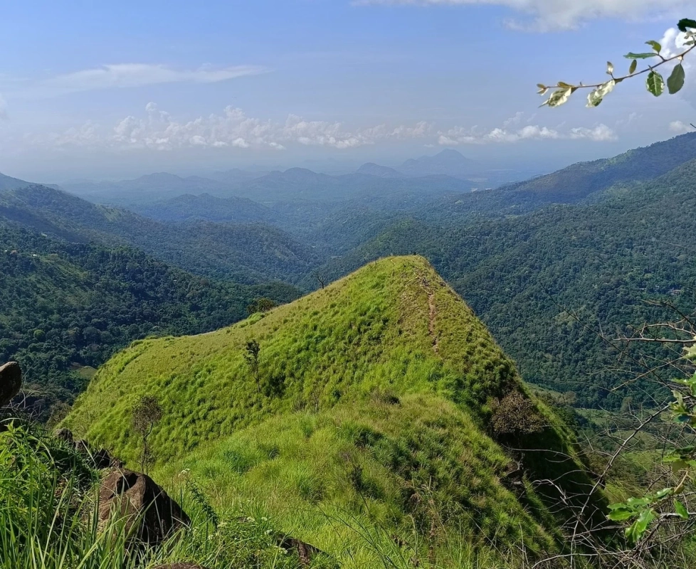Little Adams Peak Wanderung (05): Kammwanderung Little Adams Peak Wanderung (05): Kammwanderung