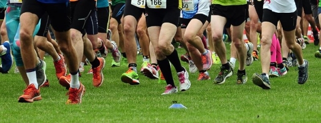 Crosslauf Großengersdorf (C) Veranstalter Crosslauf Großengersdorf (C) Veranstalter