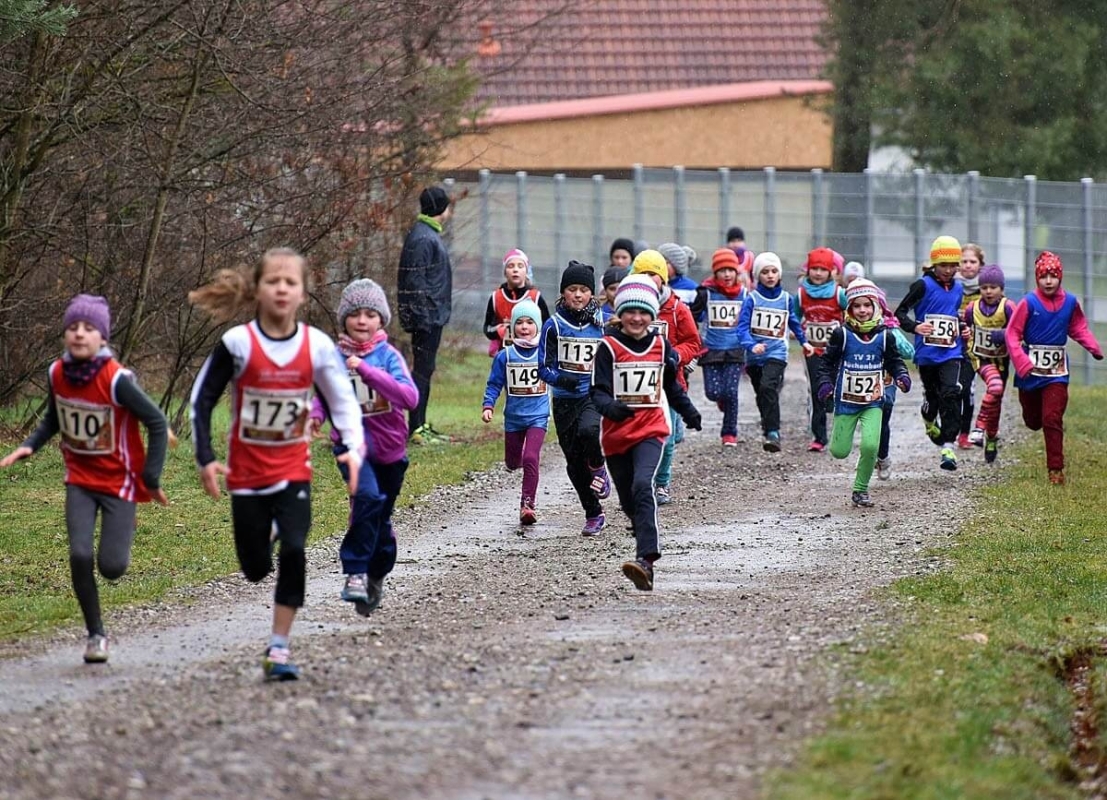 Büchenbacher Waldlauf, Foto: © Veranstalter Büchenbacher Waldlauf, Foto: © Veranstalter