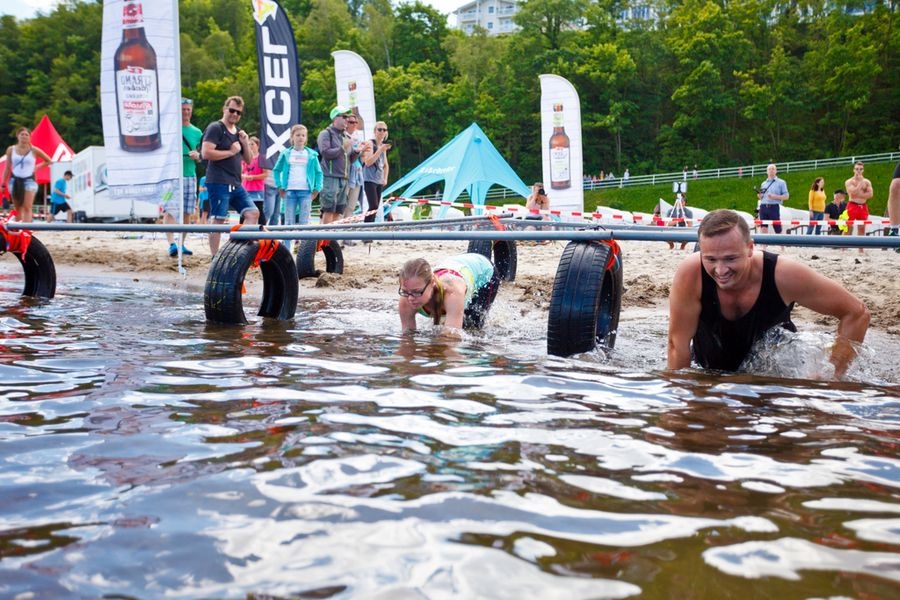 BFR2017_53 BFR2017_53