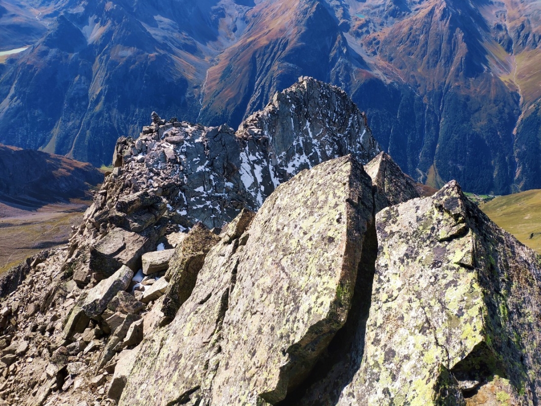 Hohe Geige 29: Abstieg wieder über den Westgrat. Hohe Geige 29: Abstieg wieder über den Westgrat.