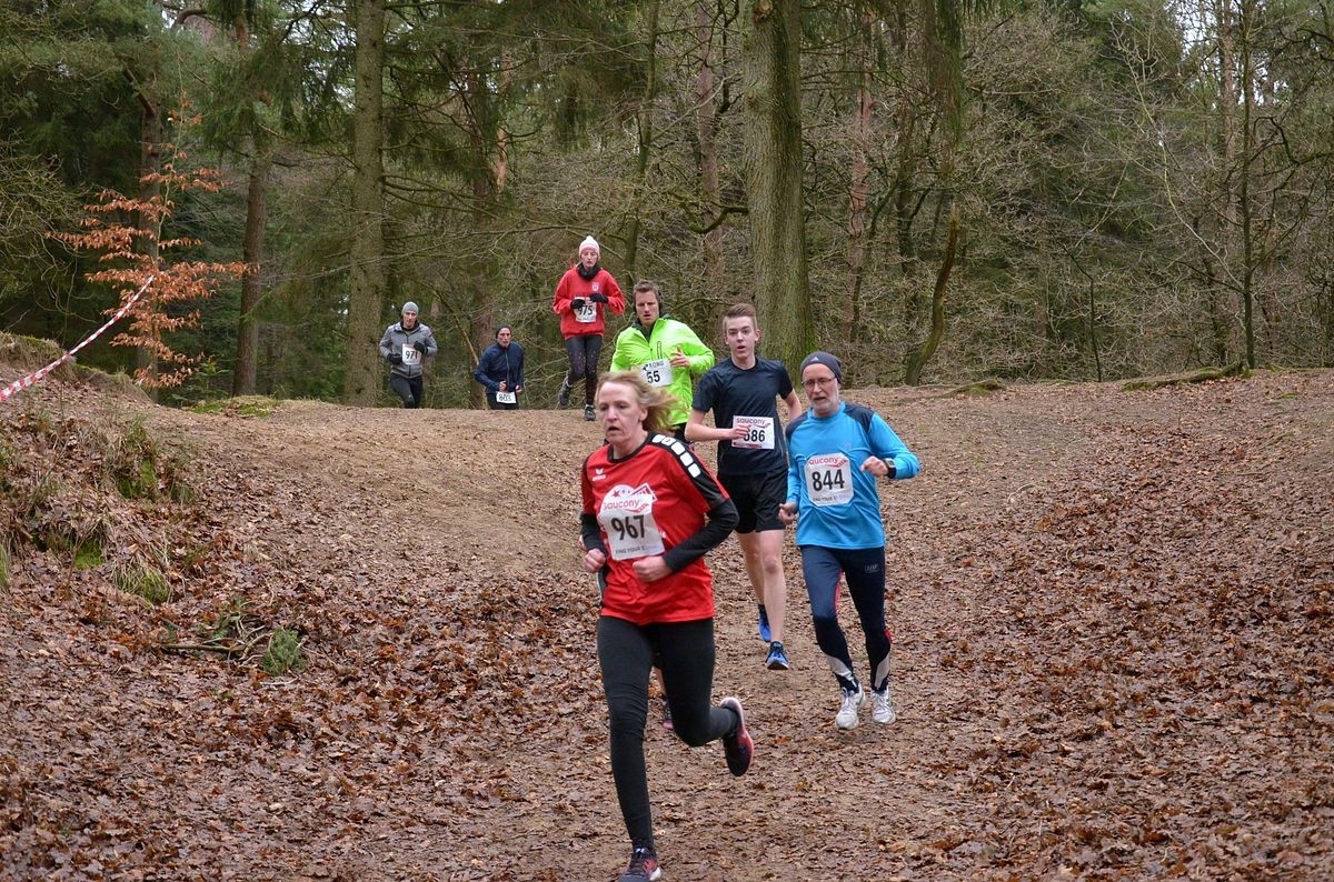 Auricher Crosslauf, Foto: Veranstalter Auricher Crosslauf, Foto: Veranstalter