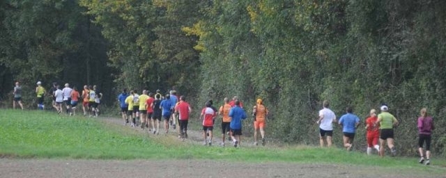 Marchfelder Halbmarathon (C) Veranstalter Marchfelder Halbmarathon (C) Veranstalter