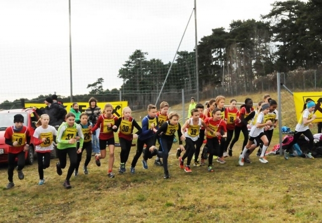 Crosslauf Lindabrunn (C) Veranstalter Crosslauf Lindabrunn (C) Veranstalter