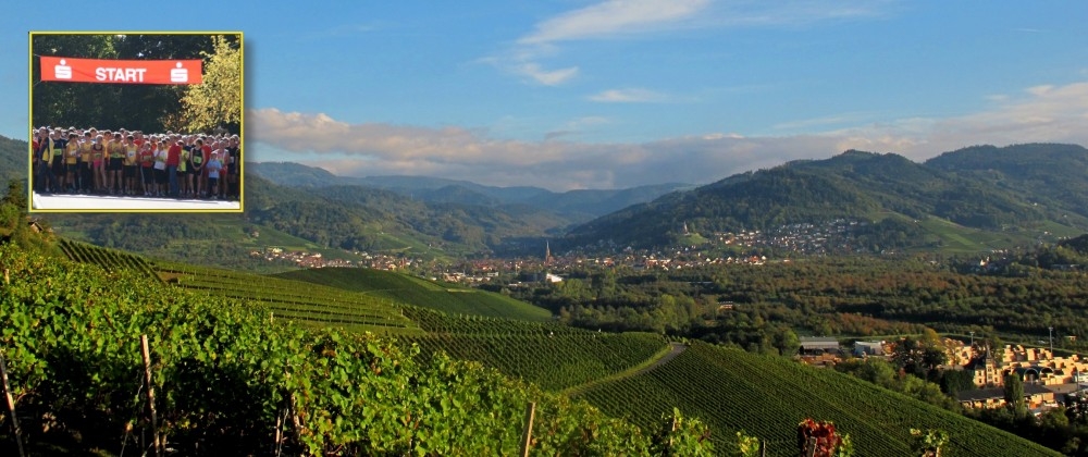 Eines der Highlights: Blick bei den 14km auf den Schwarzwald Eines der Highlights: Blick bei den 14km auf den Schwarzwald