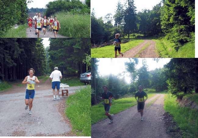 Hocheifel Volkslauf mit Halbmarathon (C) Veranstalter Hocheifel Volkslauf mit Halbmarathon (C) Veranstalter