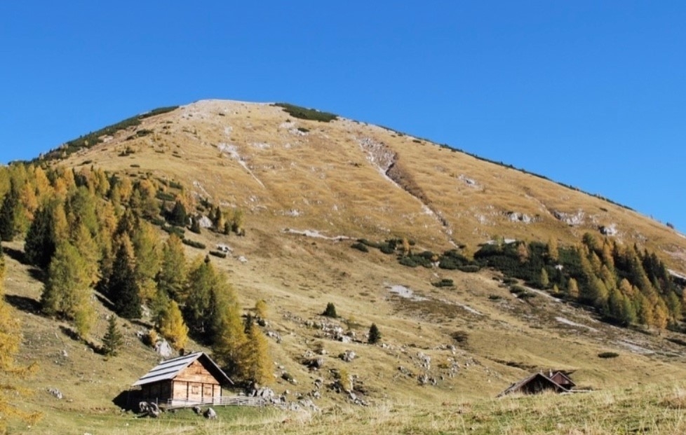 Wahaha Bärental- und Helvetia Karawanken Trail Wahaha Bärental- und Helvetia Karawanken Trail