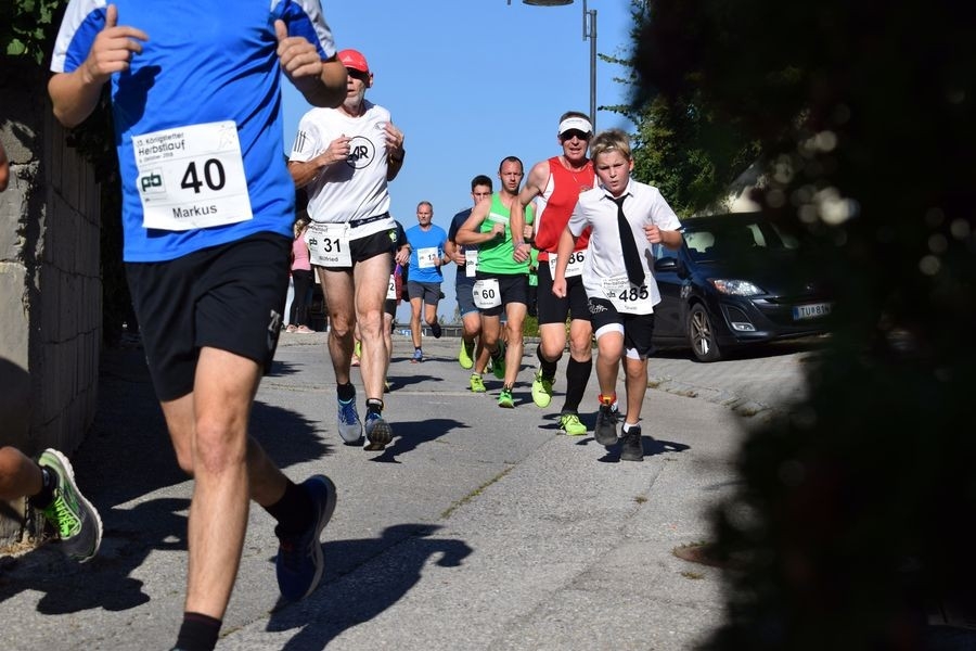 Königstetter Herbstlauf (c) Veranstalter Königstetter Herbstlauf (c) Veranstalter