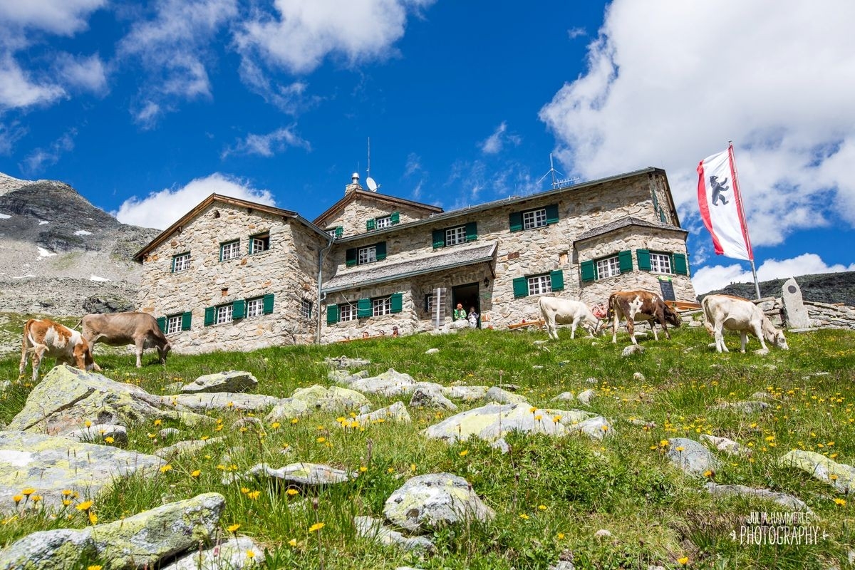 Friesenberghaus, Foto vom Hüttenpächter Friesenberghaus, Foto vom Hüttenpächter