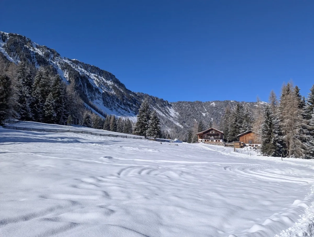 Rodelbahn Wurzbergalm Wanderung: Bild 05 Rodelbahn Wurzbergalm Wanderung: Bild 05