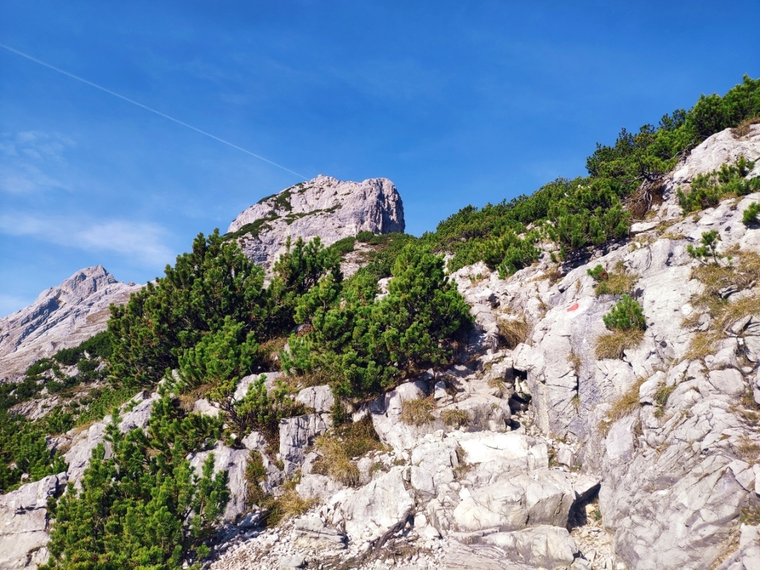 Hundskopf 18: Links im Hintergrund die Tratenspitze und Hohe Fürleg. Hundskopf 18: Links im Hintergrund die Tratenspitze und Hohe Fürleg.