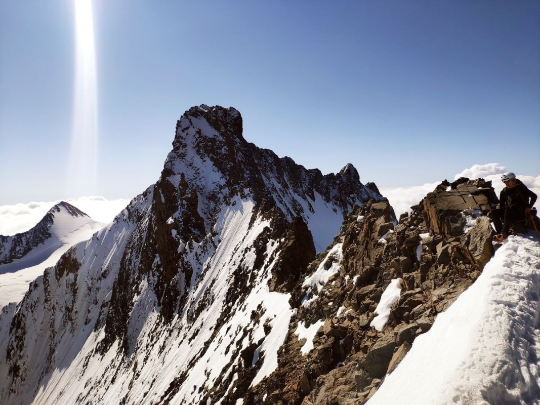 Biancograt 12 Biancograt 12