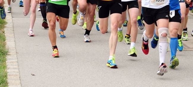 Lipizzanerheimatlauf Lipizzanerheimatlauf