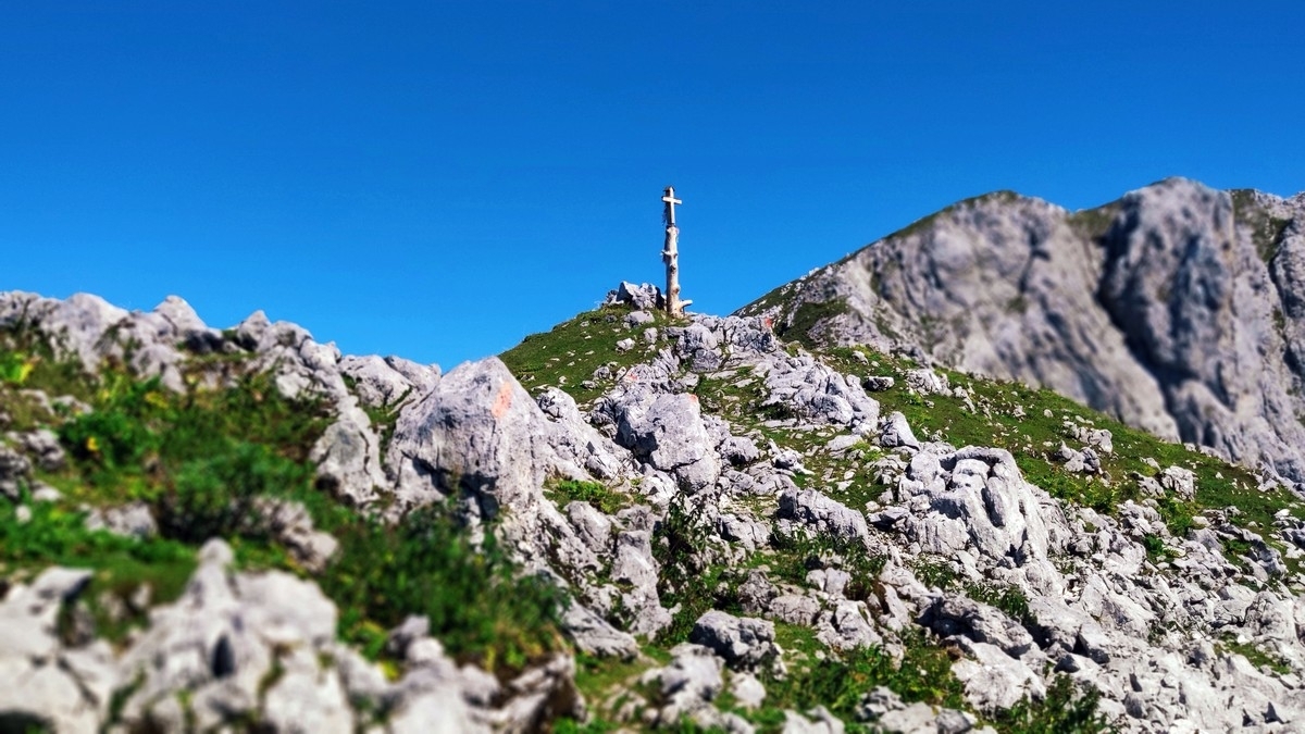 Kopfkraxen Kopfkraxen