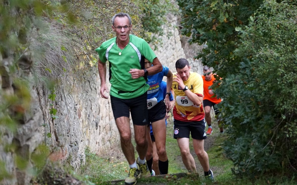 Volkslauf Rund um den Disibodenberg, Foto: Veranstalter Volkslauf Rund um den Disibodenberg, Foto: Veranstalter