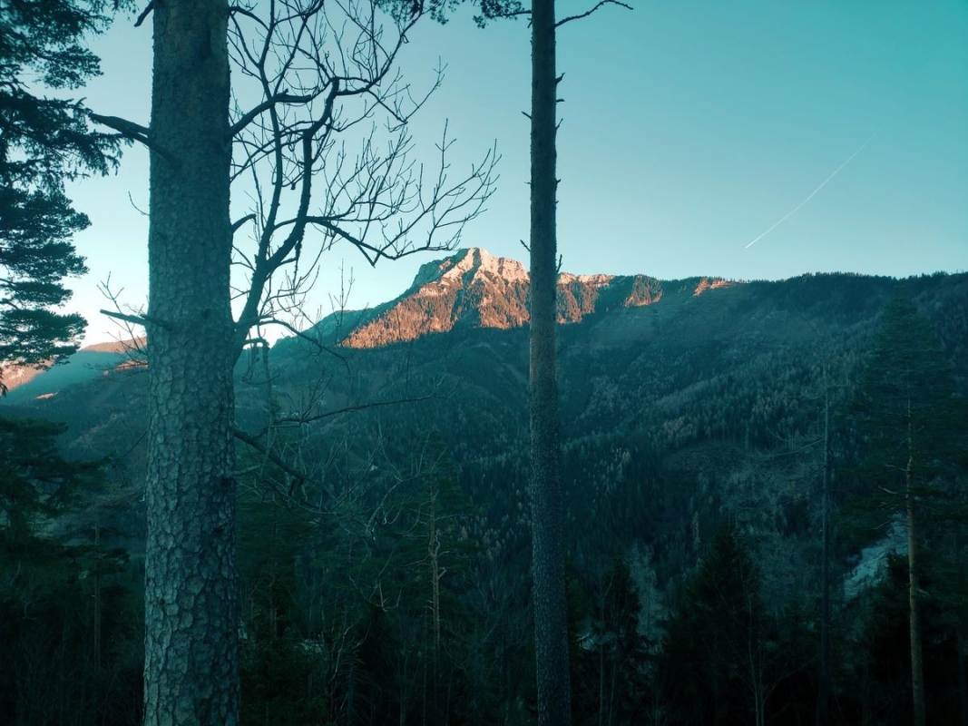 Blick auf den Gippel (2021) Blick auf den Gippel (2021)