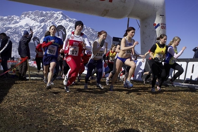 Rifer Crosslauf (C) SID Rifer Crosslauf (C) SID