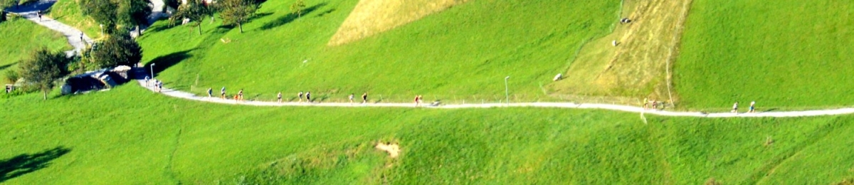 Internationaler Karrenlauf Internationaler Karrenlauf