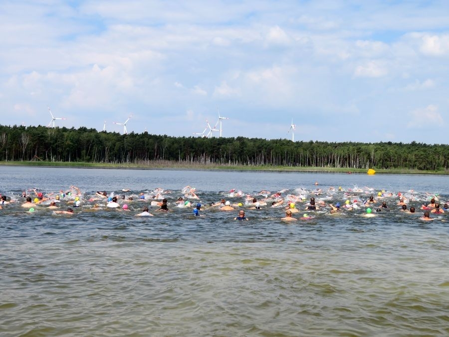 Spreewald Triathlon (c) Veranstalter Spreewald Triathlon (c) Veranstalter
