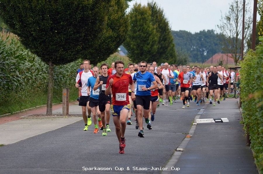 Alfhausener Volkslauf (C) Veranstalter Alfhausener Volkslauf (C) Veranstalter