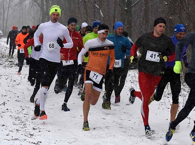 Crosslauf Matzen (C) Newetschny.com Crosslauf Matzen (C) Newetschny.com