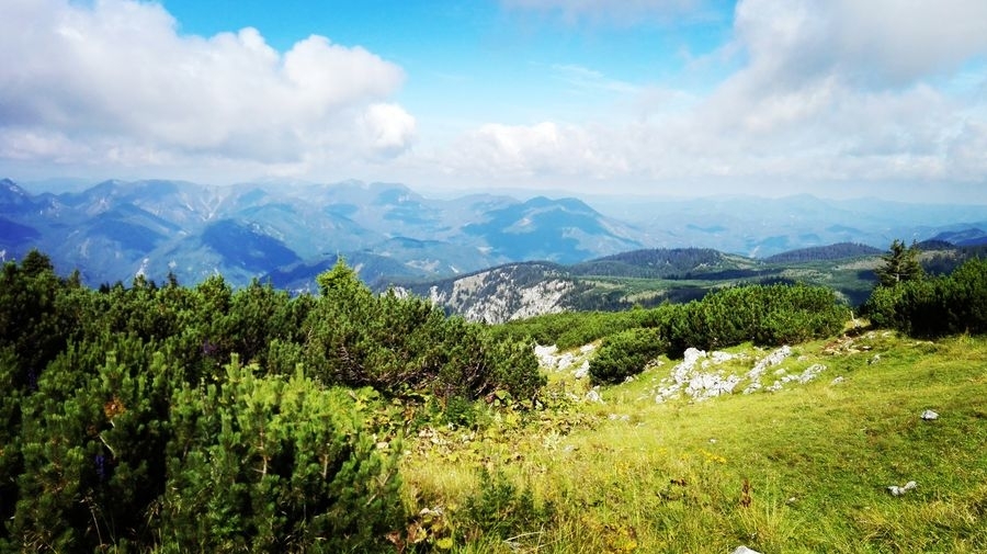 Schneeberg Schneeberg