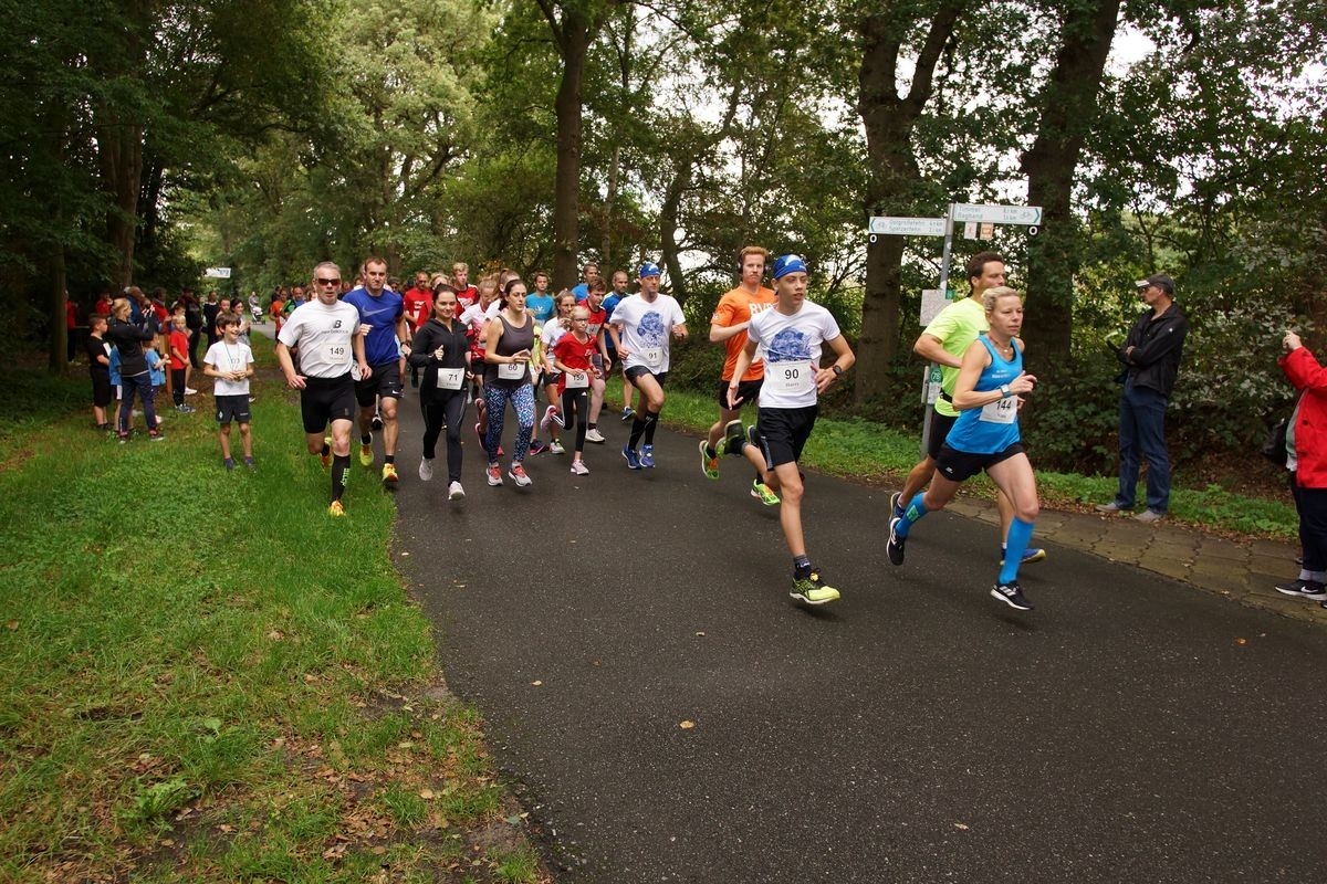 Windparklauf Timmeler Kampen Großefehn, Foto: Veranstalter Windparklauf Timmeler Kampen Großefehn, Foto: Veranstalter