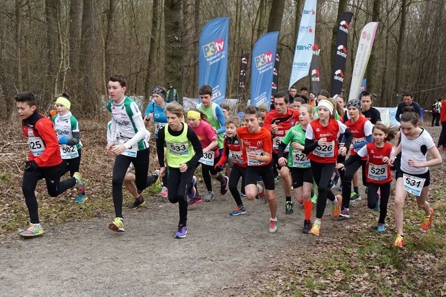 Melker Crosslauf (C) Veranstalter Melker Crosslauf (C) Veranstalter