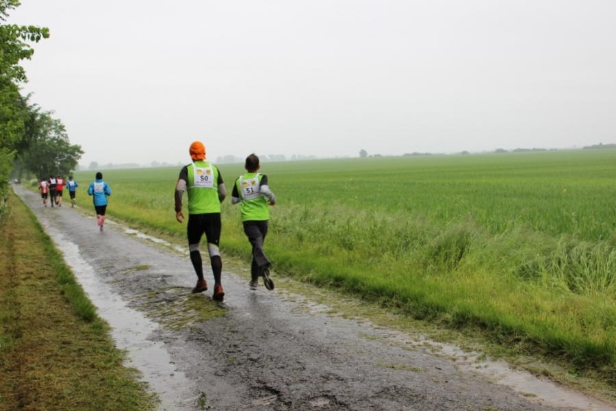 Zachower Crosslauf und Volkslauf, Foto: Veranstalter Zachower Crosslauf und Volkslauf, Foto: Veranstalter