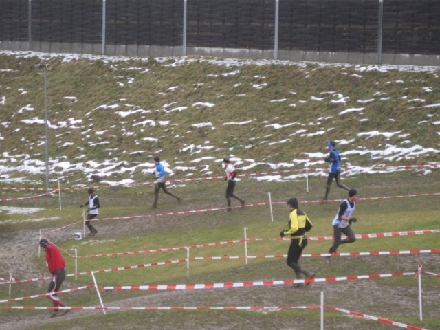 Frohnleitner Crosslauf (C) Veranstalter Frohnleitner Crosslauf (C) Veranstalter