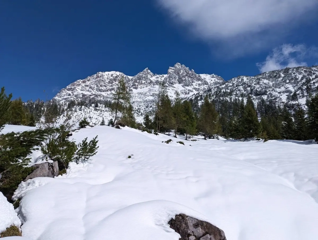 Grünstein im September 2024 Grünstein im September 2024