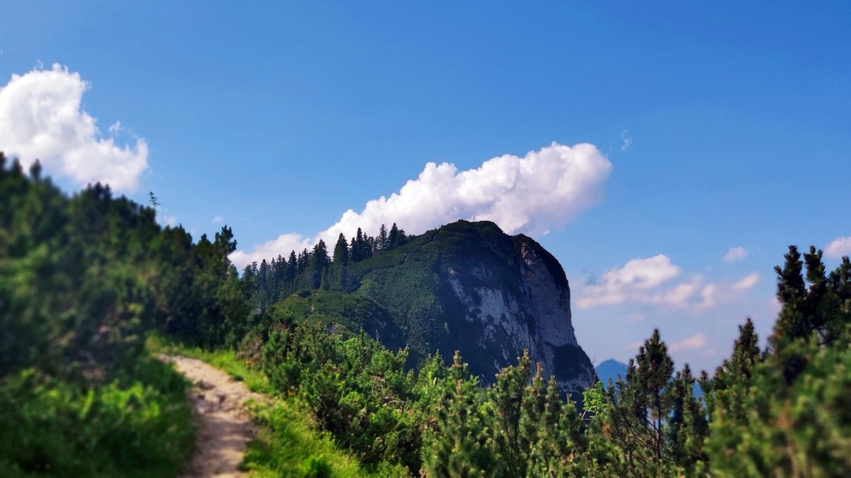 Hundshorn 11: Das Gipfelkreuz ist in Sicht Hundshorn 11: Das Gipfelkreuz ist in Sicht