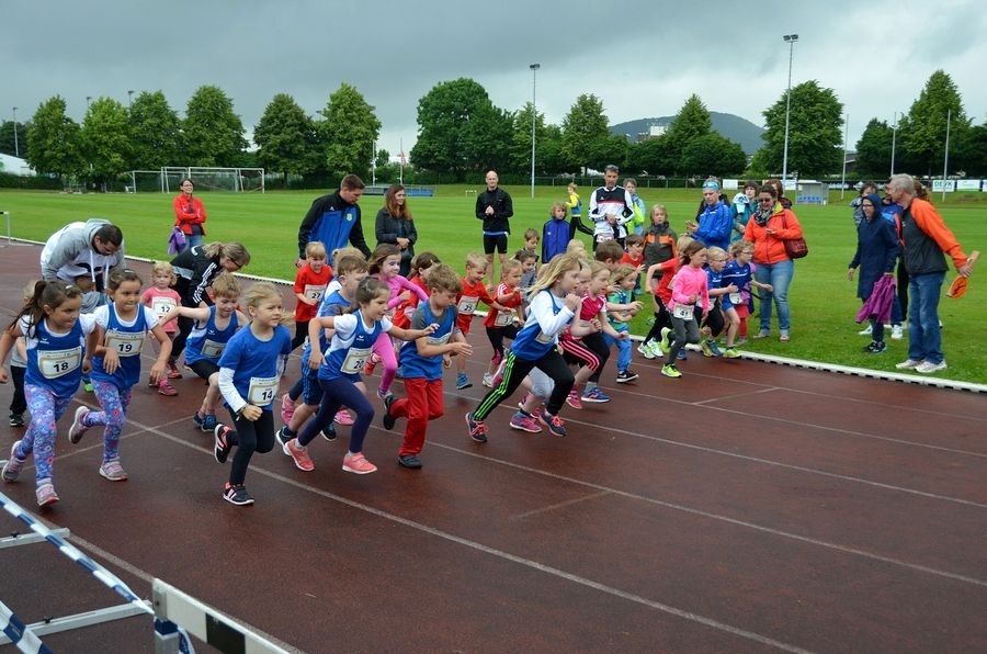 Hofgeismarer Volkslauf und Wandertag Hofgeismarer Volkslauf und Wandertag