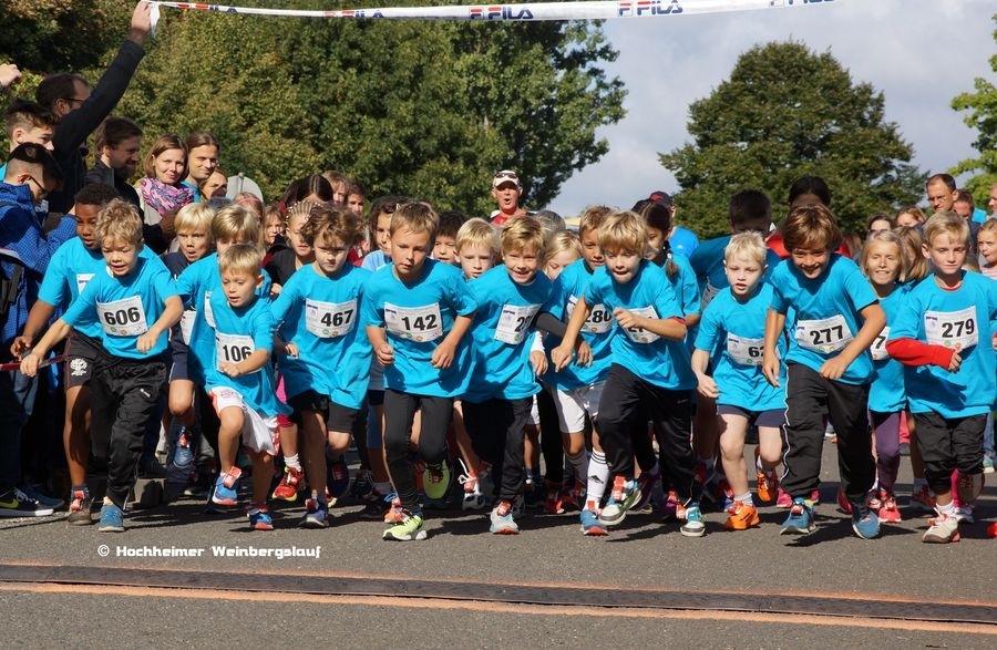 Hochheimer Weinbergslauf (C) Veranstalter Hochheimer Weinbergslauf (C) Veranstalter