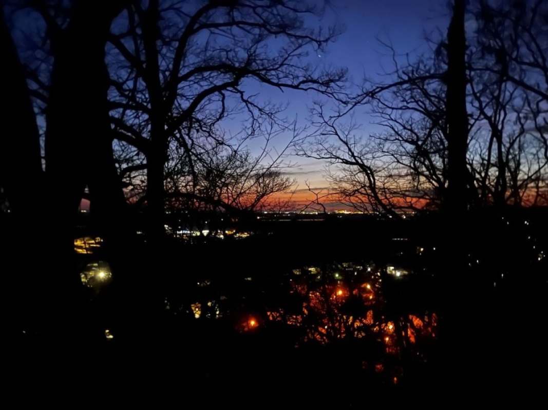 RunFellows Sommernacht Trail RunFellows Sommernacht Trail