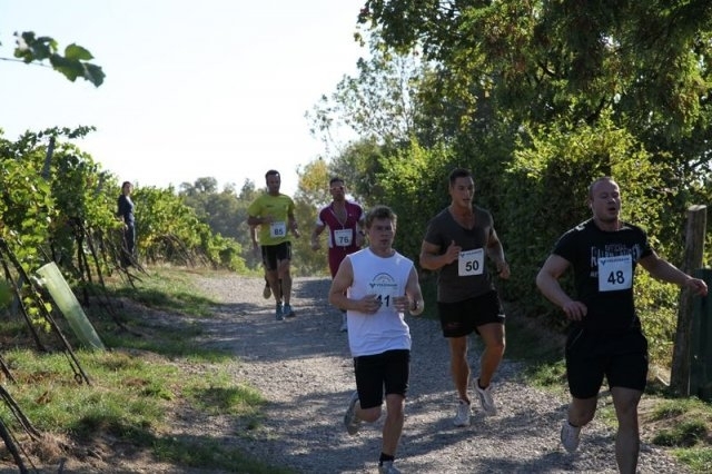 Neustifter Weinberglauf (C) Veranstalter Neustifter Weinberglauf (C) Veranstalter