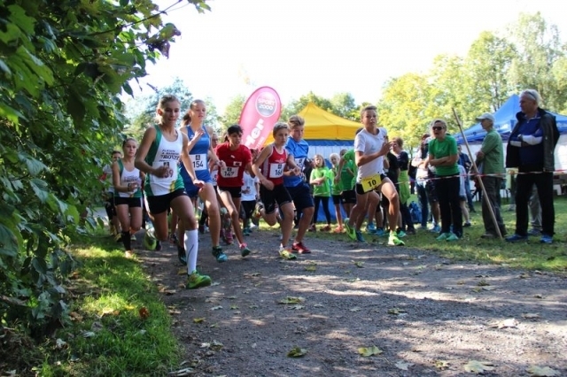 Volderer Geländelauf (C) Veranstalter Volderer Geländelauf (C) Veranstalter