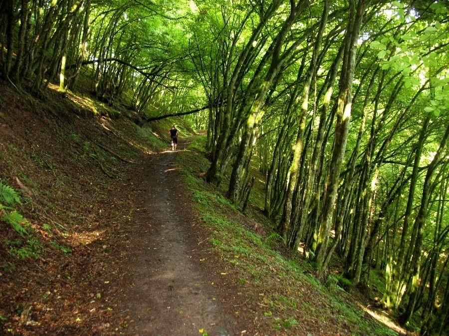 Freundschaftslauf Hasborn (c) Veranstalter Freundschaftslauf Hasborn (c) Veranstalter