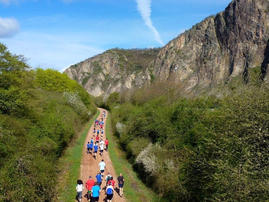 Werner Beisiegel-Gedächtnislauf (c) Laura Schneider Werner Beisiegel-Gedächtnislauf (c) Laura Schneider