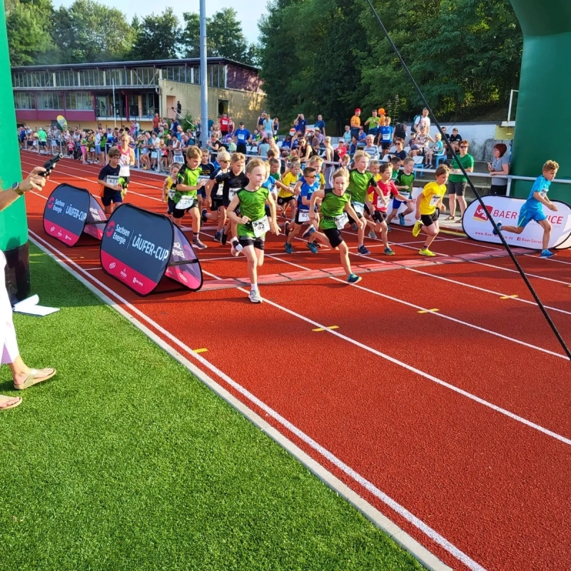 Pulsnitzer Gesundheitslauf (Foto: © Veranstalter) Pulsnitzer Gesundheitslauf (Foto: © Veranstalter)