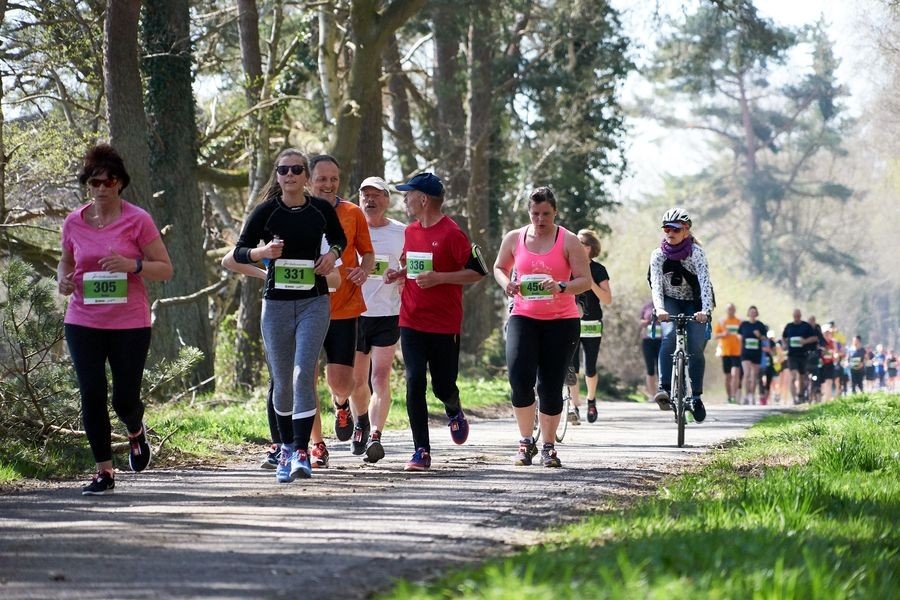 Darss-Marathon (c) Veranstalter Darss-Marathon (c) Veranstalter