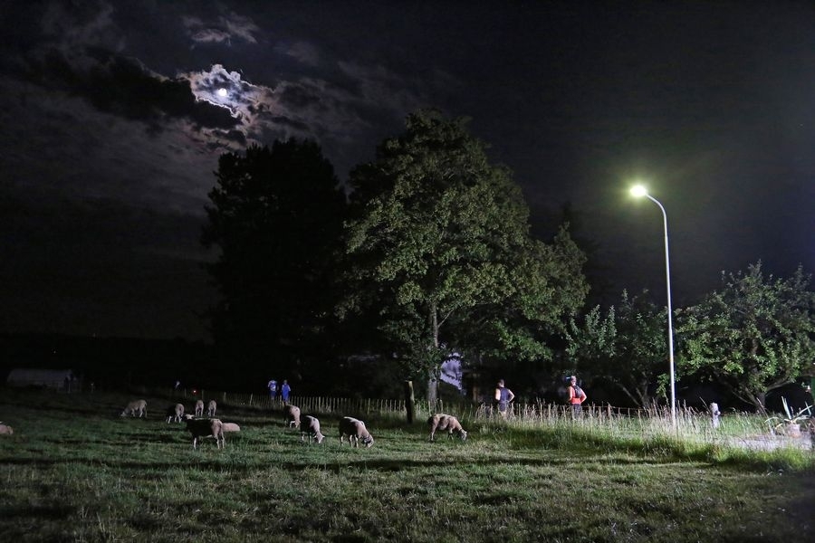 Bieler Lauftage (C) Veranstalter Bieler Lauftage (C) Veranstalter