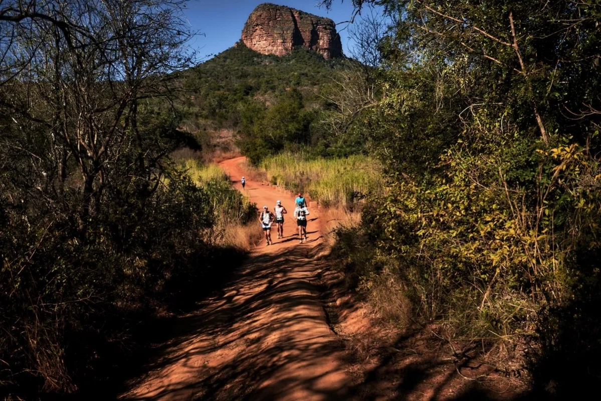 Big Five Marathon 2025 (Foto: © Albatros Adventure) Big Five Marathon 2025 (Foto: © Albatros Adventure)